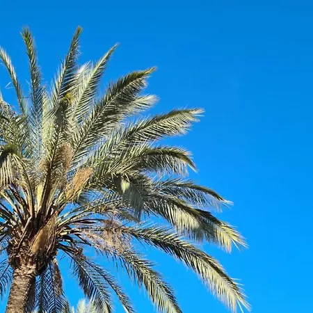 Ellies Hus Málaga