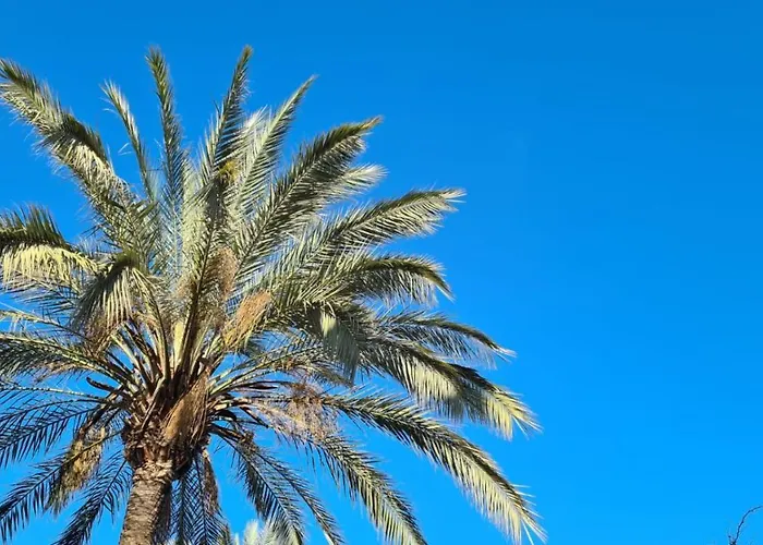 Ellies Hus Málaga